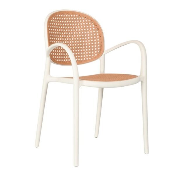 Cane cafe chair white color